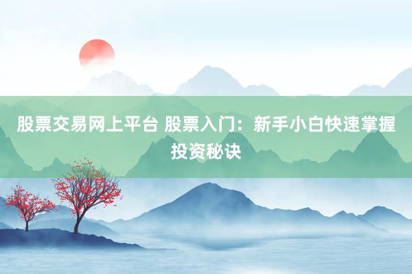 股票交易网上平台 股票入门：新手小白快速掌握投资秘诀