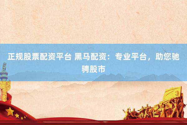 正规股票配资平台 黑马配资：专业平台，助您驰骋股市