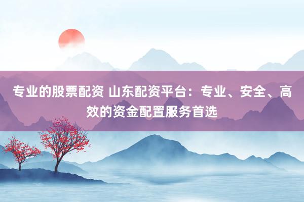 专业的股票配资 山东配资平台：专业、安全、高效的资金配置服务首选