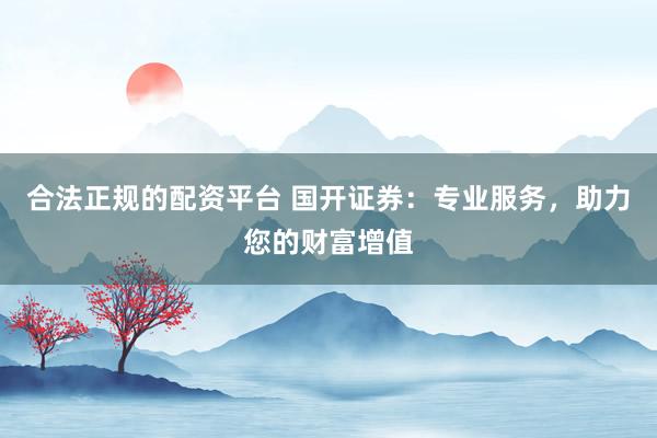 合法正规的配资平台 国开证券：专业服务，助力您的财富增值