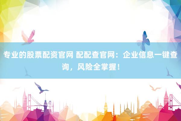 专业的股票配资官网 配配查官网：企业信息一键查询，风险全掌握！