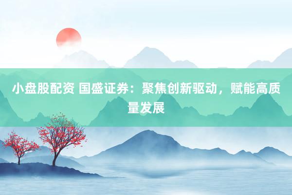 小盘股配资 国盛证券:聚焦创新驱动,赋能高质量发展