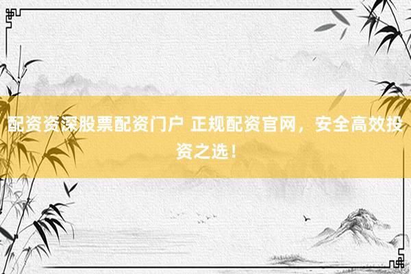 配资资深股票配资门户 正规配资官网,安全高效投资之选!