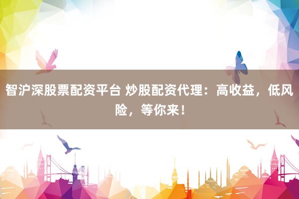 智沪深股票配资平台 炒股配资代理：高收益，低风险，等你来！