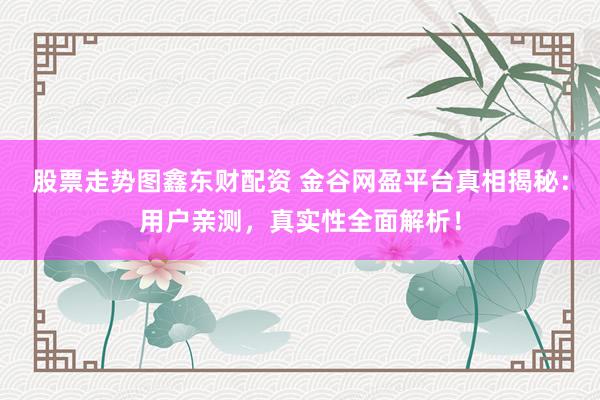 股票走势图鑫东财配资 金谷网盈平台真相揭秘：用户亲测，真实性全面解析！